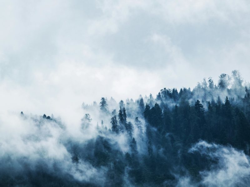 mist and wraith